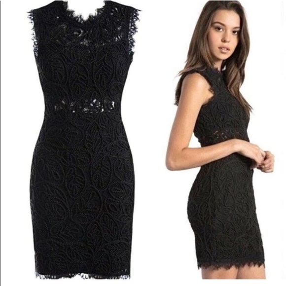 Sans Souci Lace Dress - Picture 1 of 3